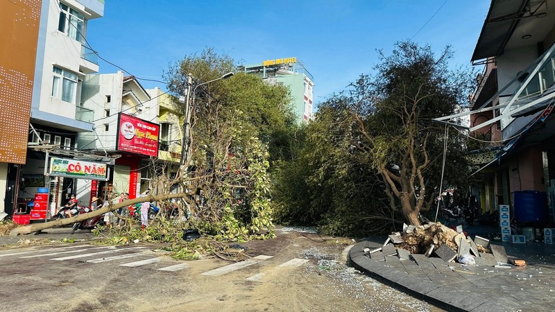 Hình ảnh Tuy Hòa và Quy Nhơn sau bão Kalmaegi