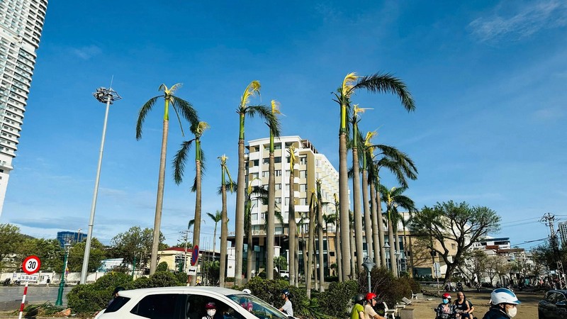 Hình ảnh Tuy Hòa và Quy Nhơn sau bão Kalmaegi