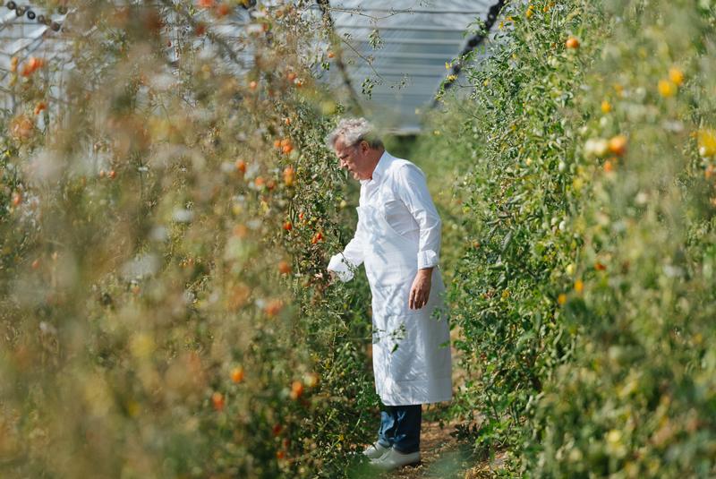 nhà hàng chay và thuần chay ngon nhất