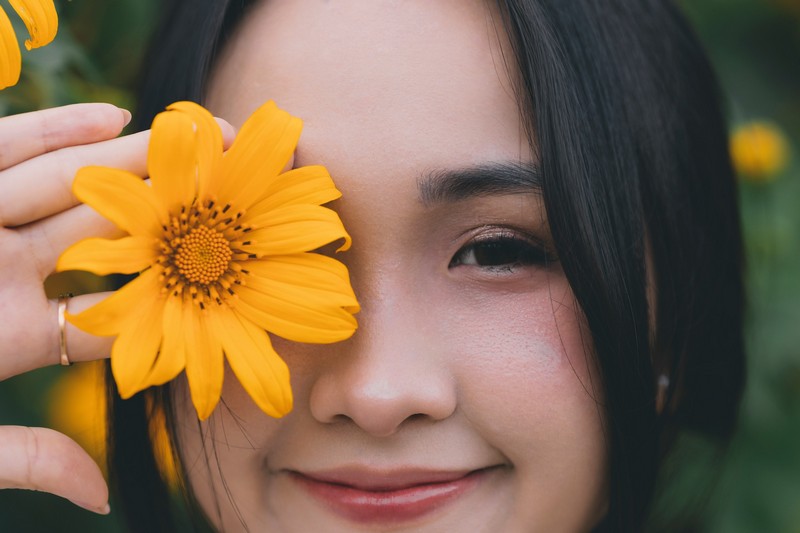 Hoa dã quỳ Ba Vì đọ sắc hoa dã quỳ Đà Lạt