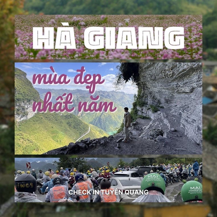 Những hình ảnh chứng minh Hà Giang đang trong mùa đẹp nhất năm từ cộng đồng mạng