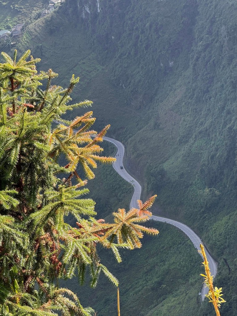 Hà Giang đang trong mùa đẹp nhất năm