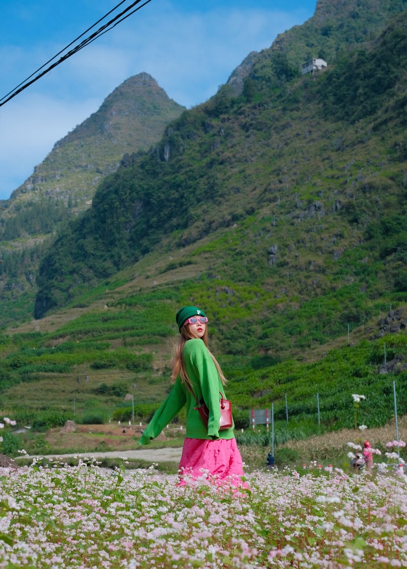 Hà Giang mùa hoa tam giác mạch