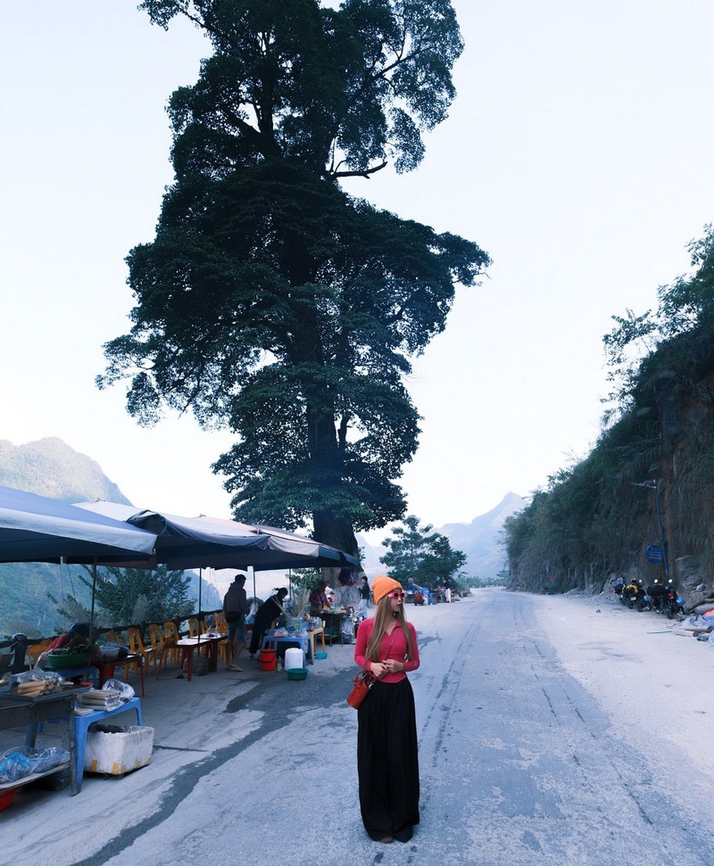 Hà Giang mùa hoa tam giác mạch