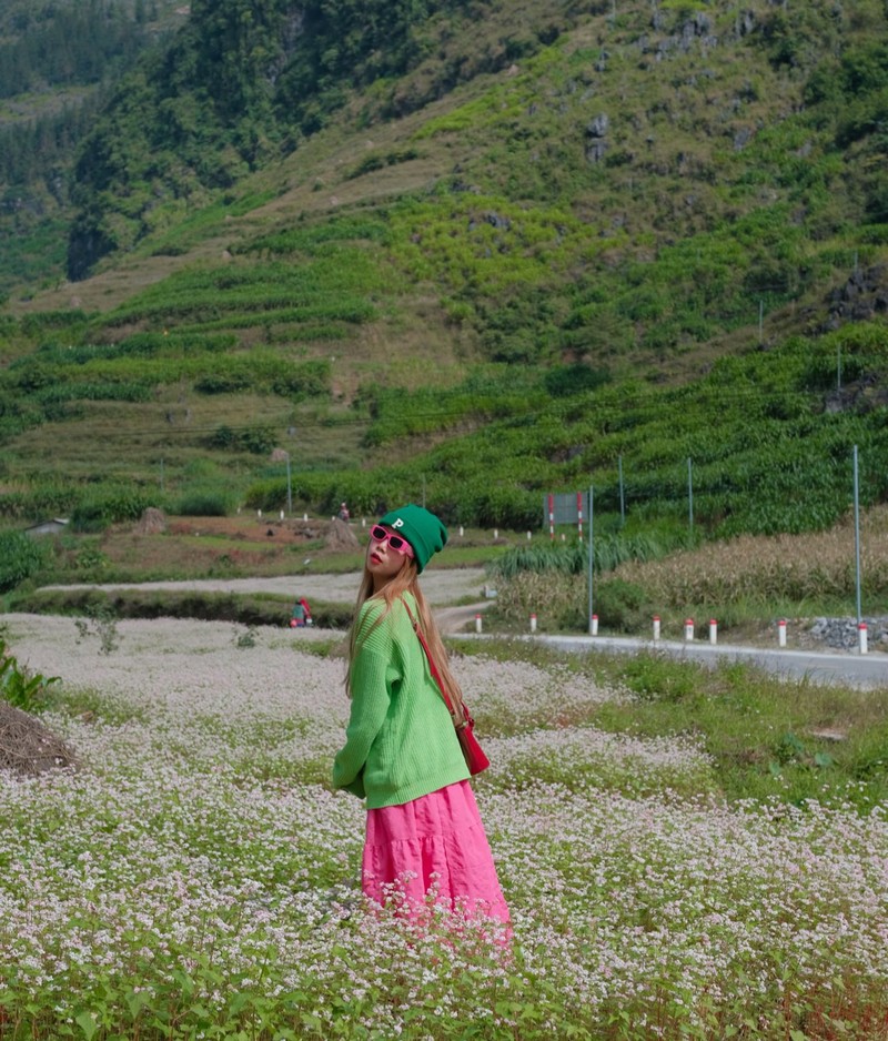 Hà Giang mùa hoa tam giác mạch