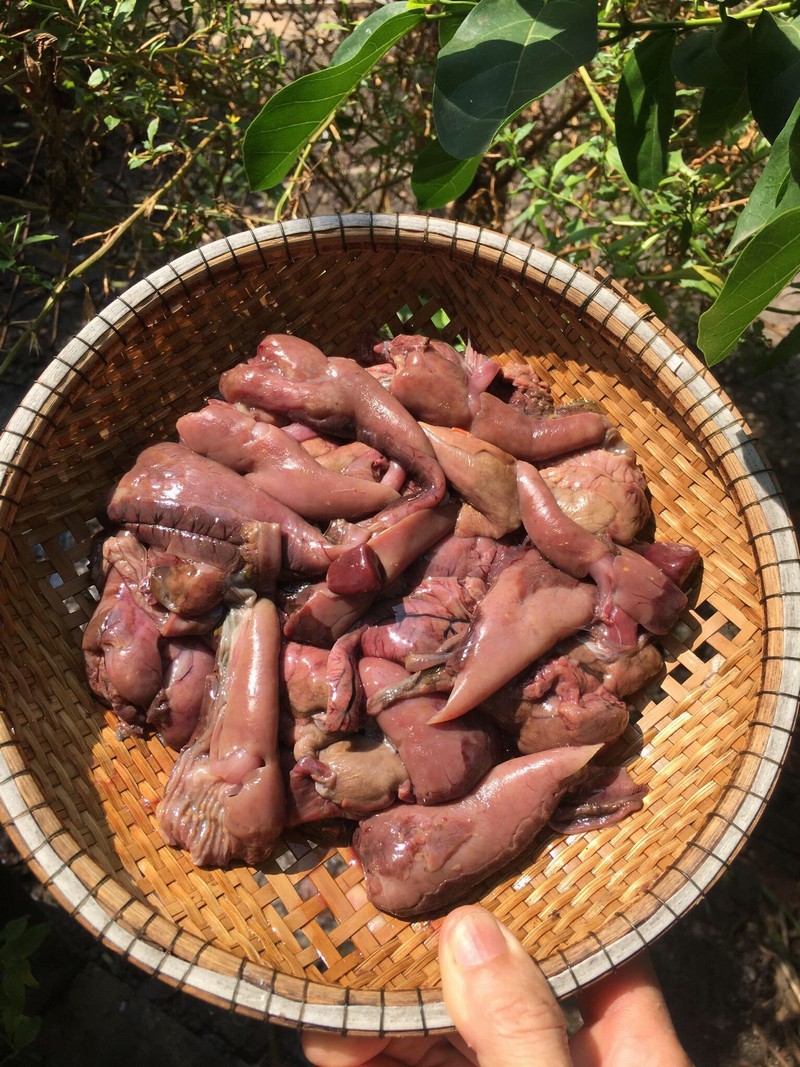 Mắm ruột Món ăn dân dã Nam Trung Bộ