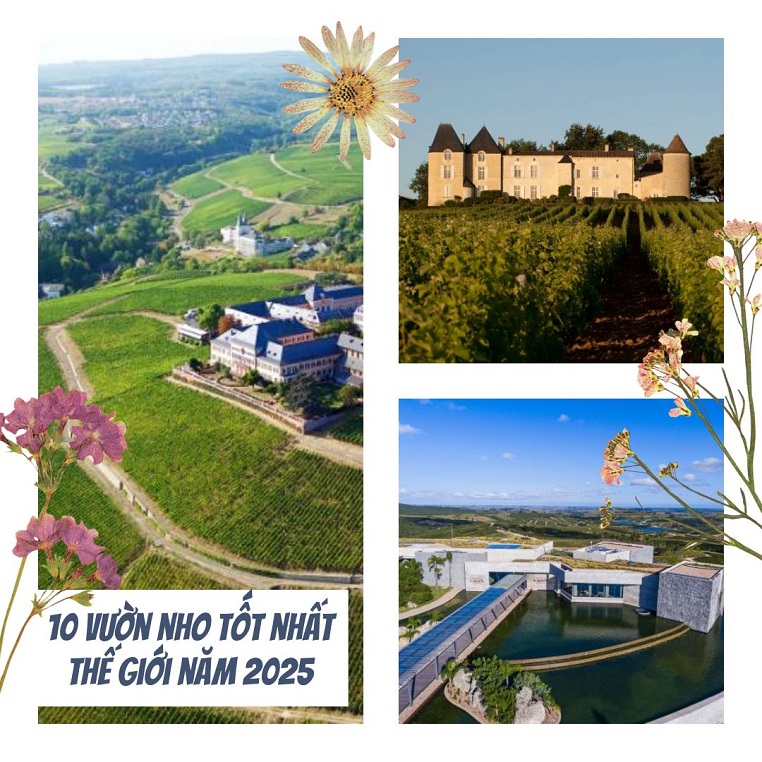 Top 10 vườn nho tốt nhất thế giới năm 2025: Nơi làm ra đồ uống hảo hạng và cũng tuyệt vời để tham quan