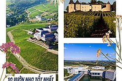 Top 10 vườn nho tốt nhất thế giới năm 2025: Nơi làm ra đồ uống hảo hạng và cũng tuyệt vời để tham quan