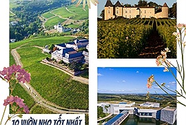 Top 10 vườn nho tốt nhất thế giới năm 2025: Nơi làm ra đồ uống hảo hạng và cũng tuyệt vời để tham quan