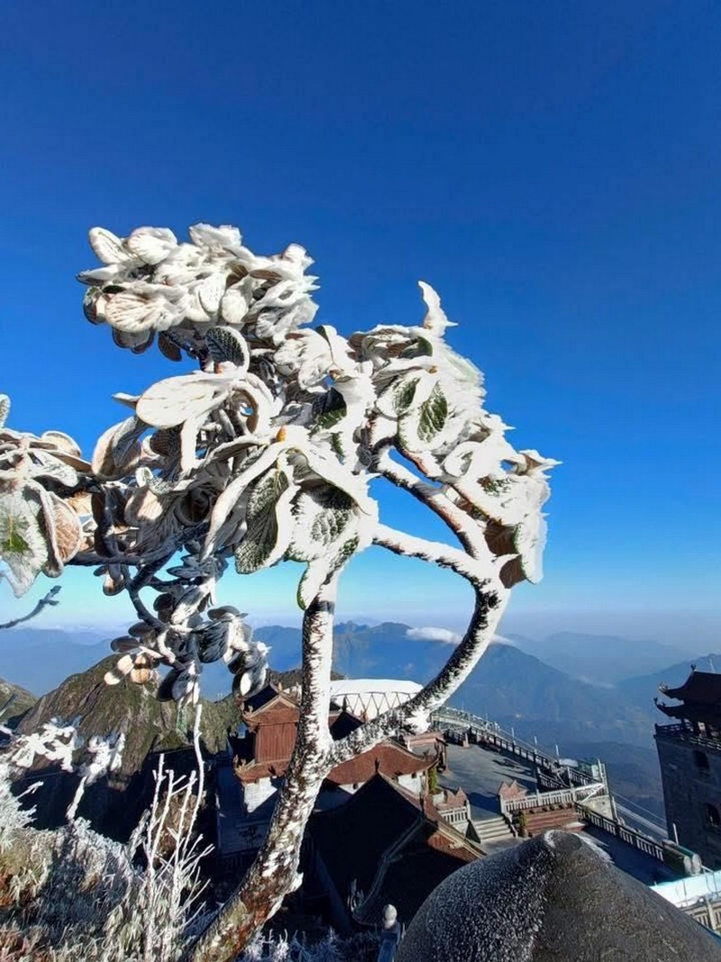 Hình ảnh băng giá phủ trắng đỉnh Fansipan