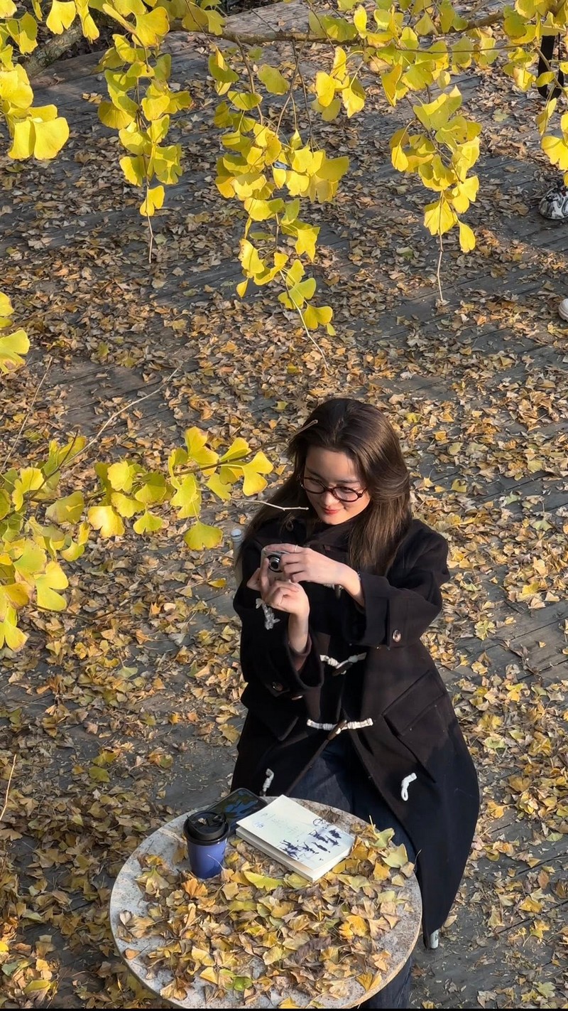 Sa Pa mùa cây ngân hạnh thay lá