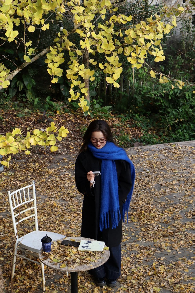 Sa Pa mùa cây ngân hạnh thay lá