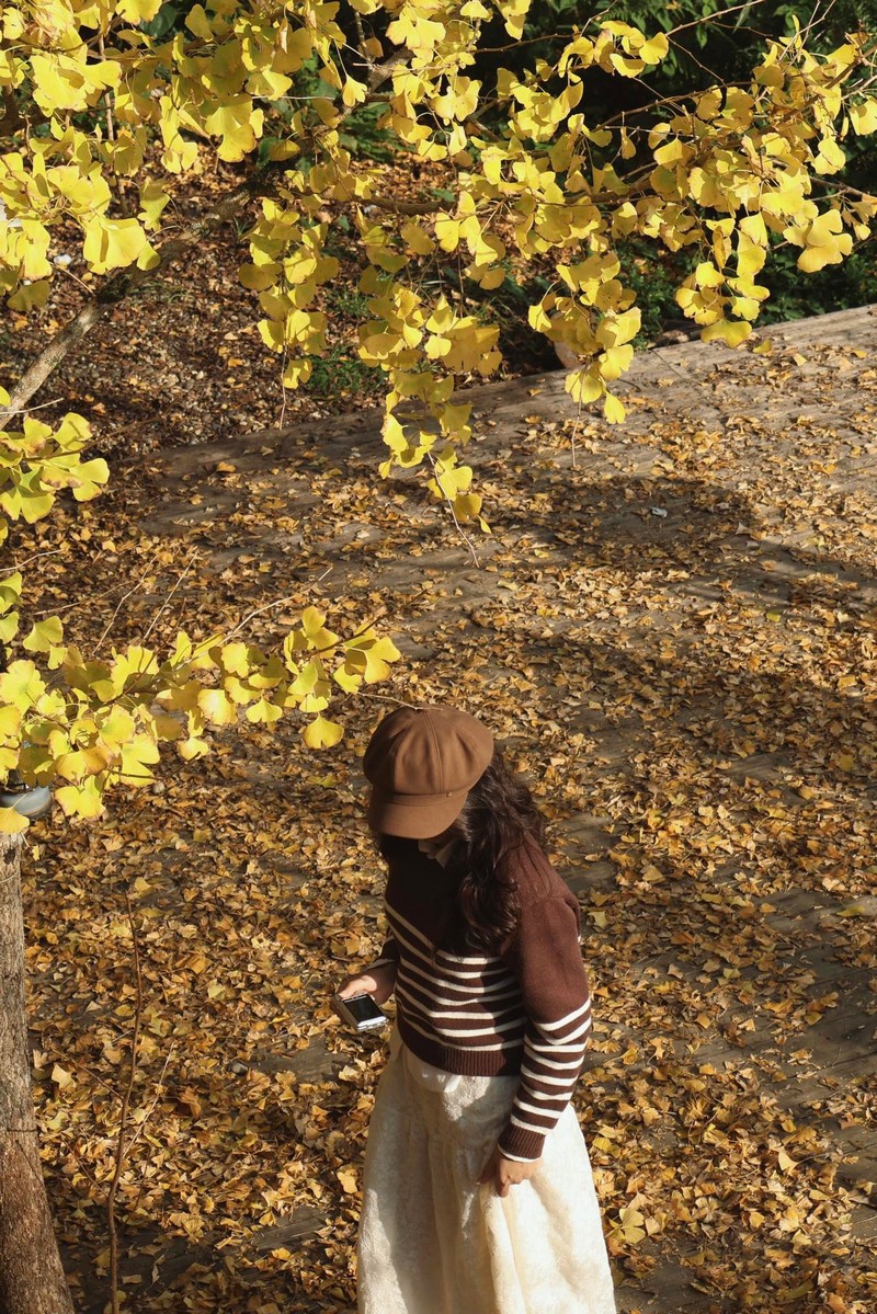 Sa Pa mùa cây ngân hạnh thay lá