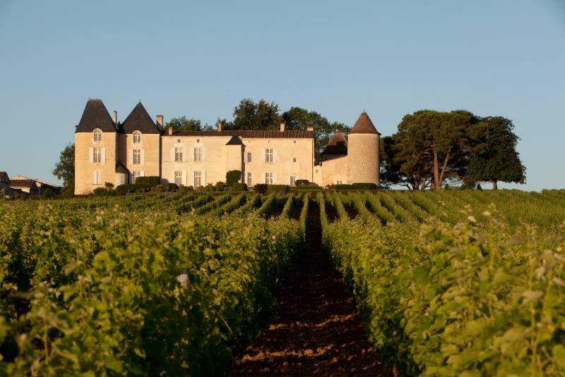 Top 10 vườn nho tốt nhất thế giới năm 2025