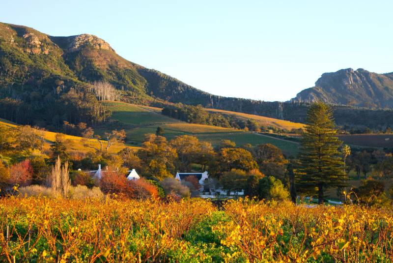 Top 10 vườn nho tốt nhất thế giới năm 2025