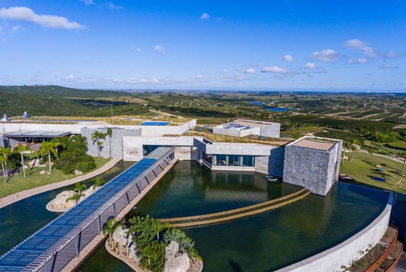 Top 10 vườn nho tốt nhất thế giới năm 2025