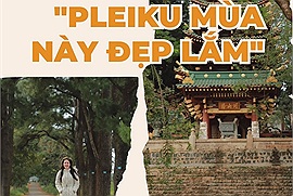 Chiêm ngưỡng những góc chụp mộc mạc tại chùa Minh Thành và xem "Pleiku mùa này đẹp lắm" có gì