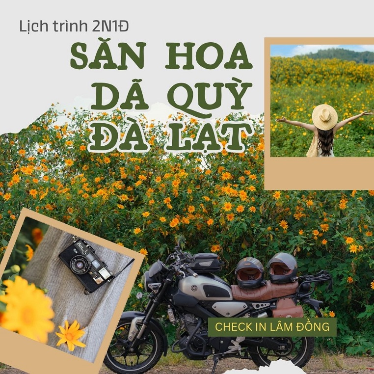 Gợi ý lịch trình 2N1Đ săn hoa dã quỳ Đà Lạt với hai cung đường tập trung nhiều điểm check in dã quỳ đẹp nhất