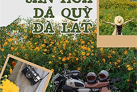 Gợi ý lịch trình 2N1Đ săn hoa dã quỳ Đà Lạt với hai cung đường tập trung nhiều điểm check in dã quỳ đẹp nhất