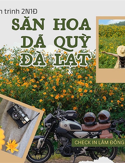 Gợi ý lịch trình 2N1Đ săn hoa dã quỳ Đà Lạt với hai cung đường tập trung nhiều điểm check in dã quỳ đẹp nhất