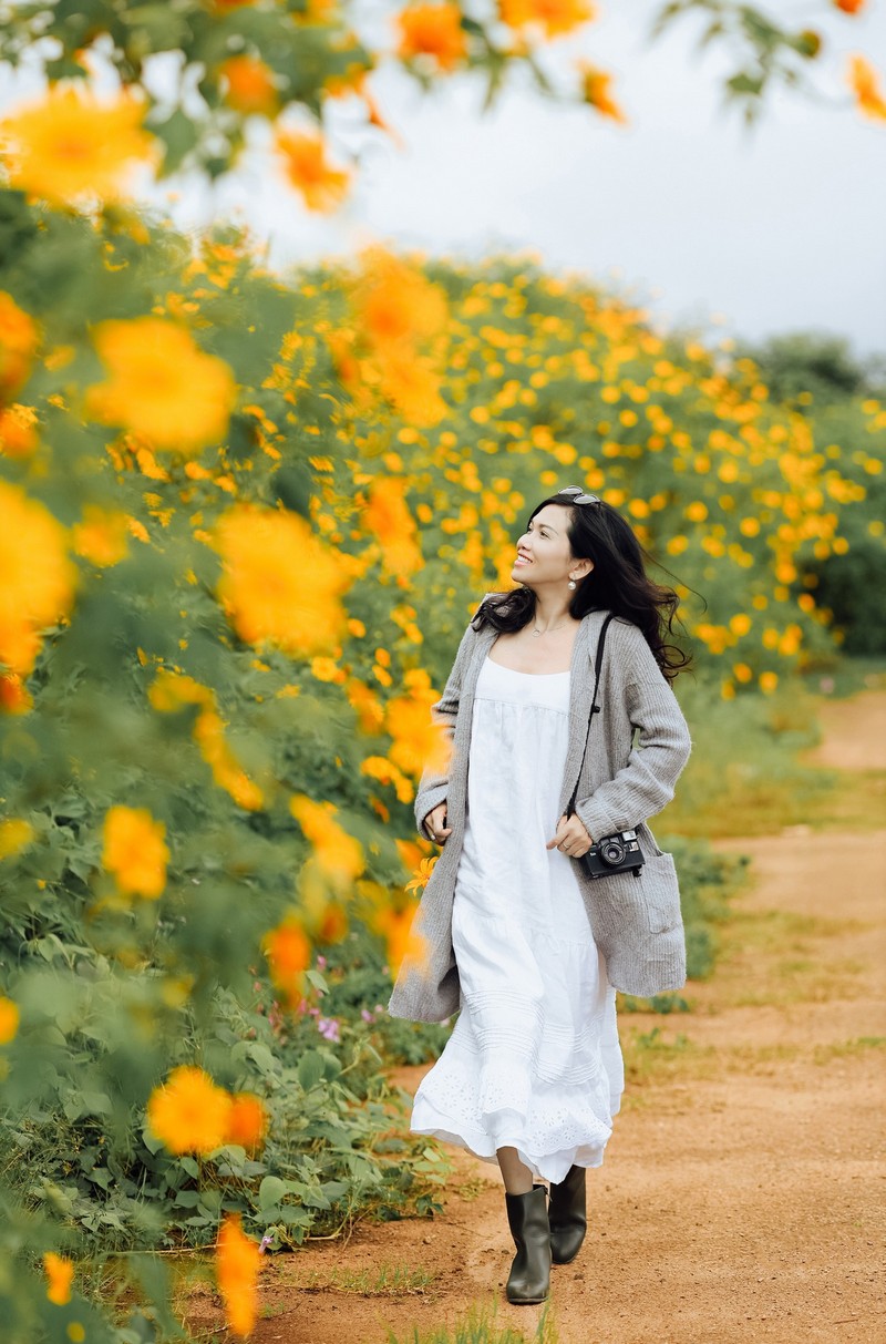 lịch trình 2N1Đ săn hoa dã quỳ Đà Lạt