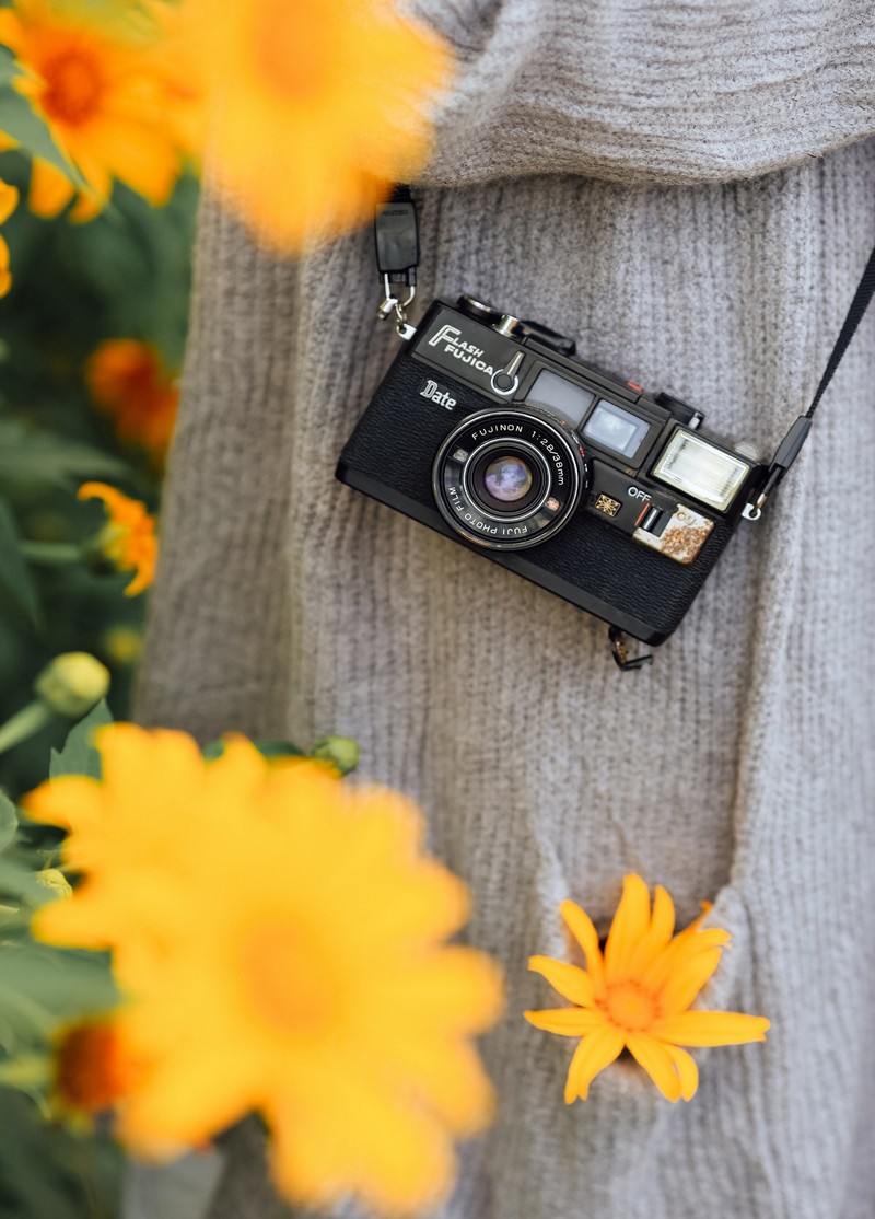 lịch trình 2N1Đ săn hoa dã quỳ Đà Lạt