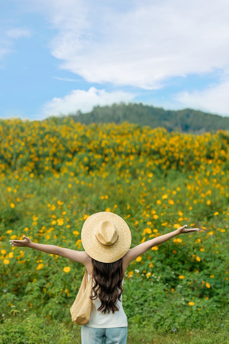 lịch trình 2N1Đ săn hoa dã quỳ Đà Lạt