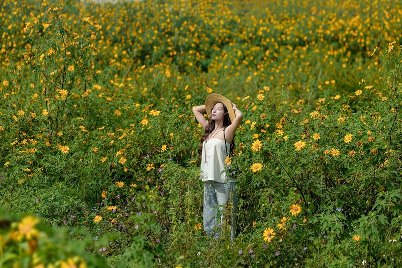 lịch trình 2N1Đ săn hoa dã quỳ Đà Lạt