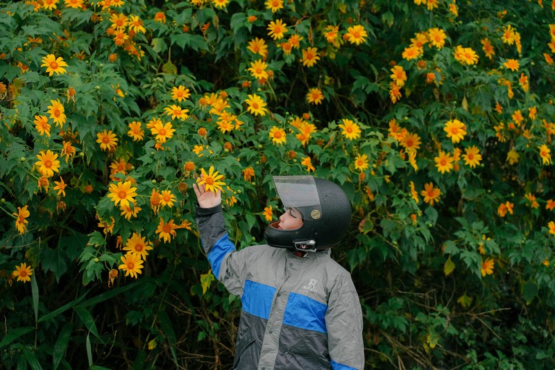 lịch trình 2N1Đ săn hoa dã quỳ Đà Lạt