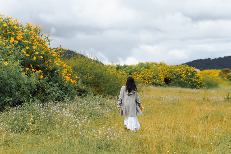 lịch trình 2N1Đ săn hoa dã quỳ Đà Lạt