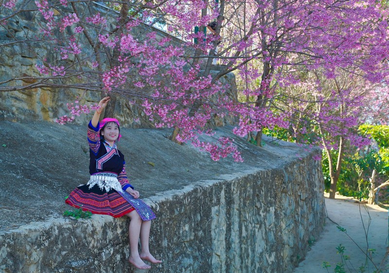 chuẩn bị tâm hồn đẹp đón mùa mai anh đào