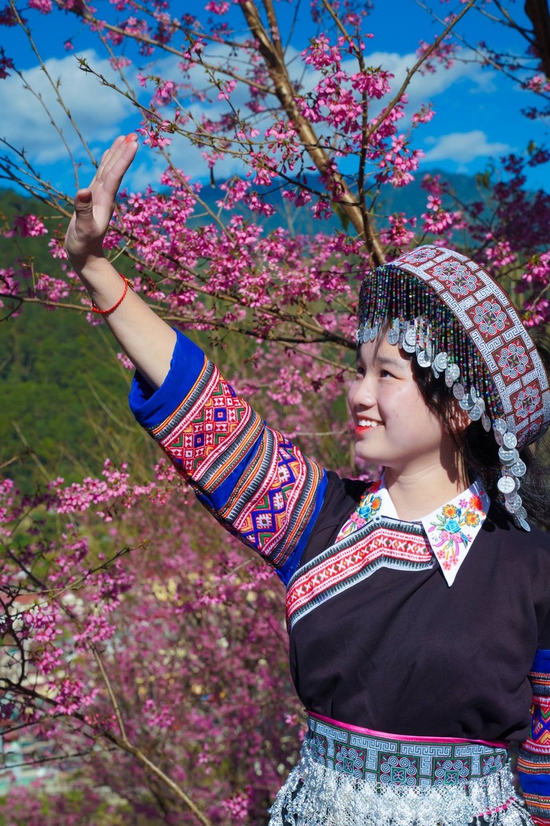 chuẩn bị tâm hồn đẹp đón mùa mai anh đào