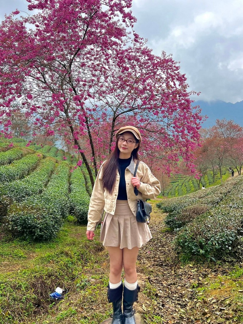 chuẩn bị tâm hồn đẹp đón mùa mai anh đào