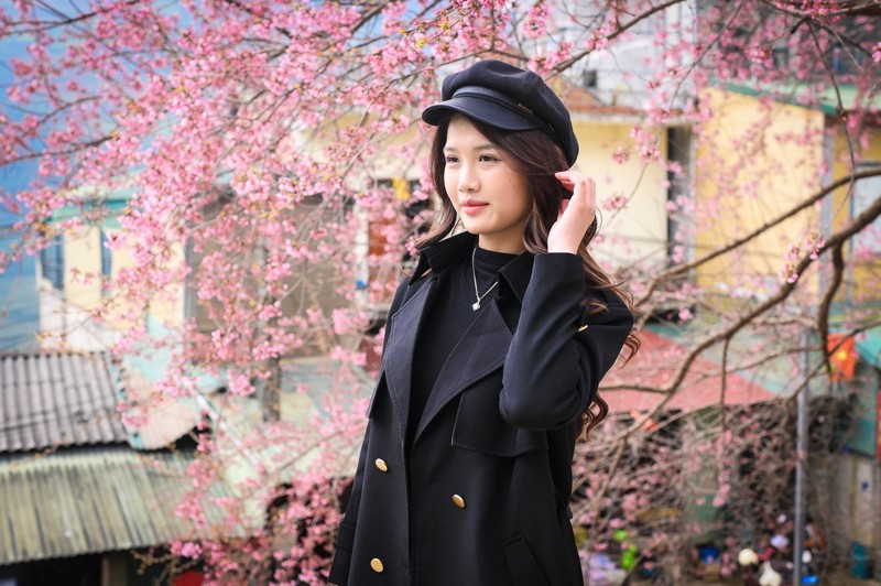 chuẩn bị tâm hồn đẹp đón mùa mai anh đào