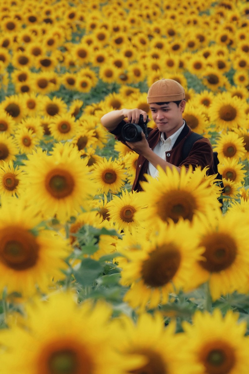 Review đồi hoa hướng dương Nghệ An