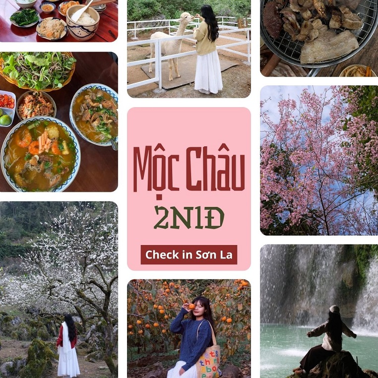 Lịch trình cuối năm vi vu Mộc Châu 2N1Đ: "Hoa nở khắp nơi, thời tiết không quá lạnh"