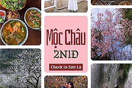 Lịch trình cuối năm vi vu Mộc Châu 2N1Đ: "Hoa nở khắp nơi, thời tiết không quá lạnh"