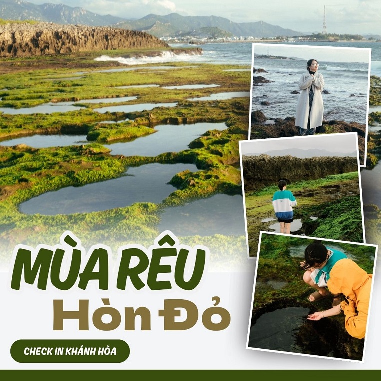 Xanh biếc mùa rêu Hòn Đỏ: "Nàng tiên cá ngủ say" bên bờ biển miền Trung thức tỉnh