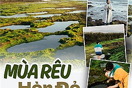 Xanh biếc mùa rêu Hòn Đỏ: "Nàng tiên cá ngủ say" bên bờ biển miền Trung thức tỉnh