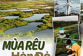 Xanh biếc mùa rêu Hòn Đỏ: "Nàng tiên cá ngủ say" bên bờ biển miền Trung thức tỉnh