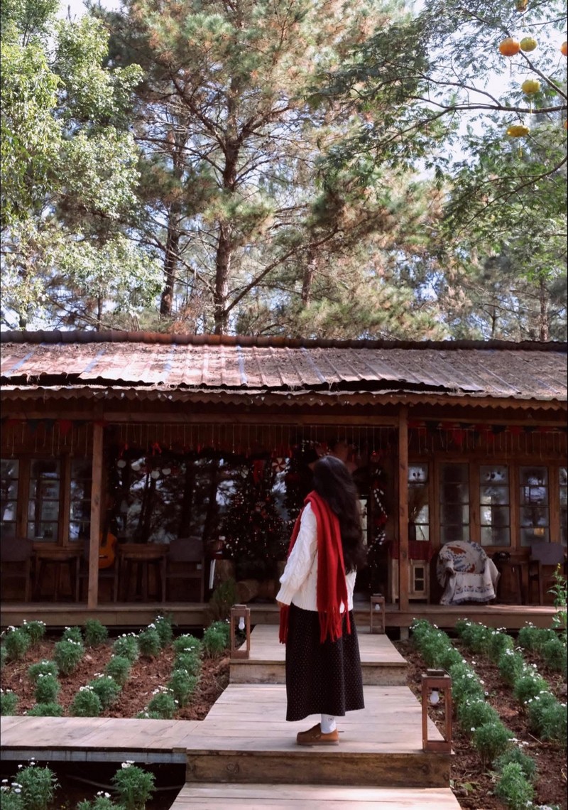 cuối năm vi vu Mộc Châu 2N1Đ