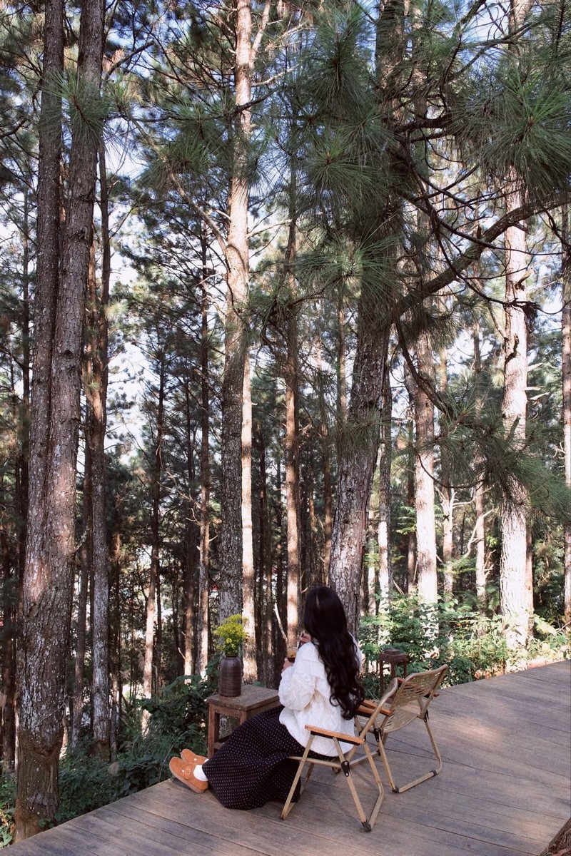 cuối năm vi vu Mộc Châu 2N1Đ