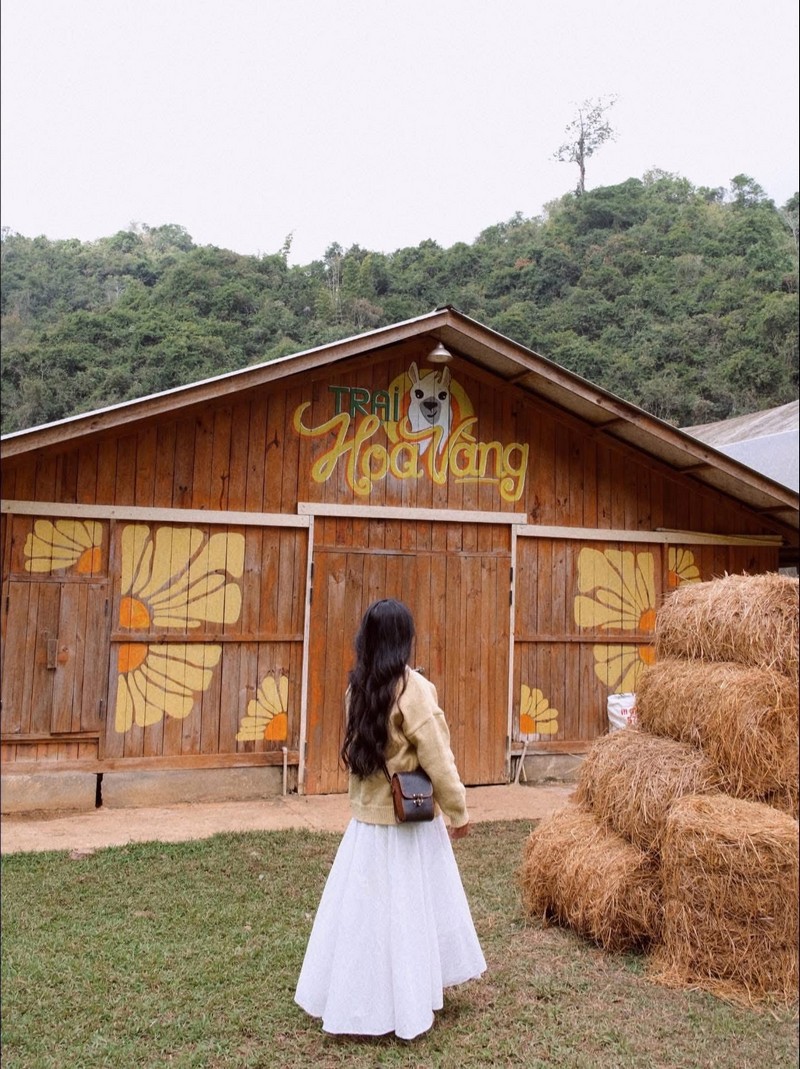 cuối năm vi vu Mộc Châu 2N1Đ