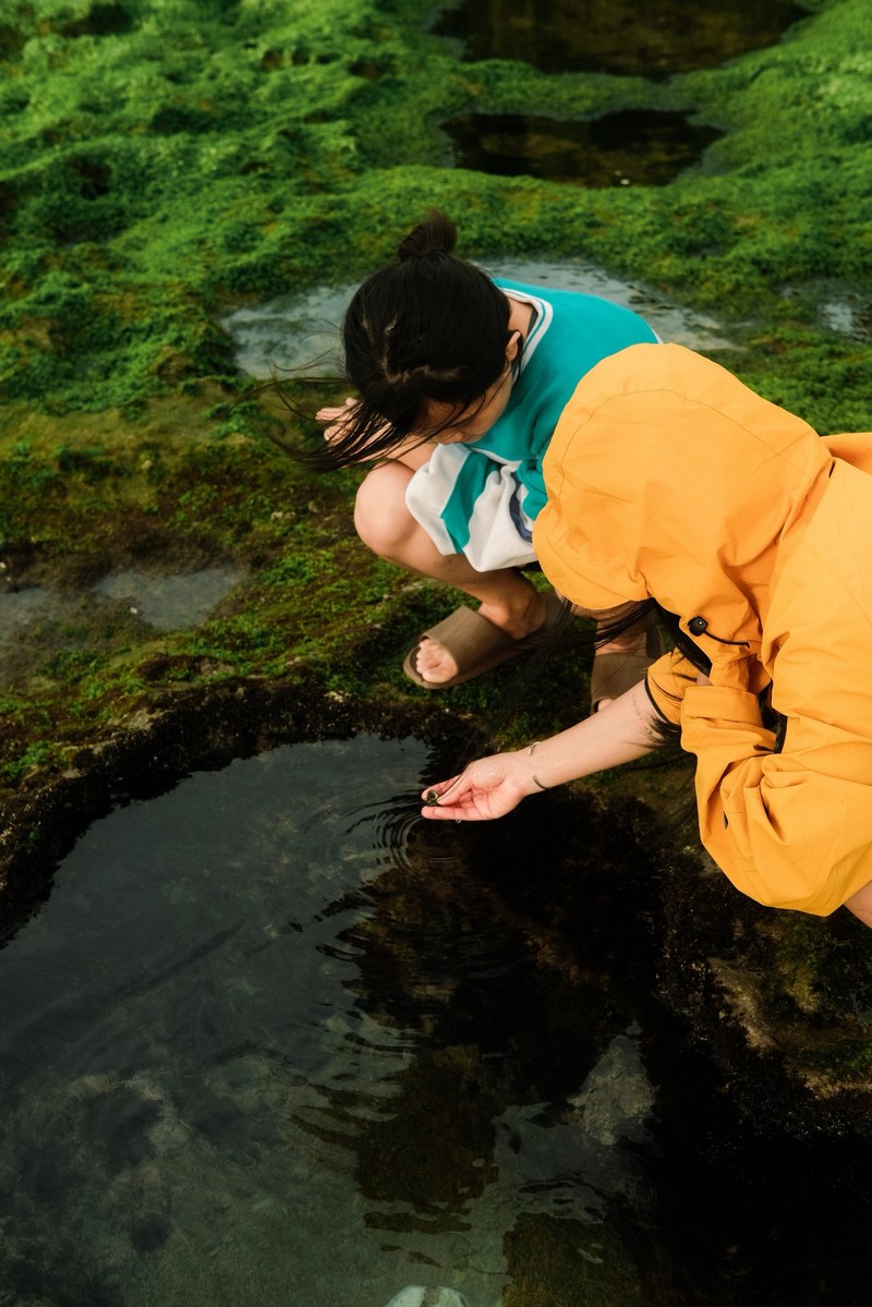 mùa rêu Hòn Đỏ