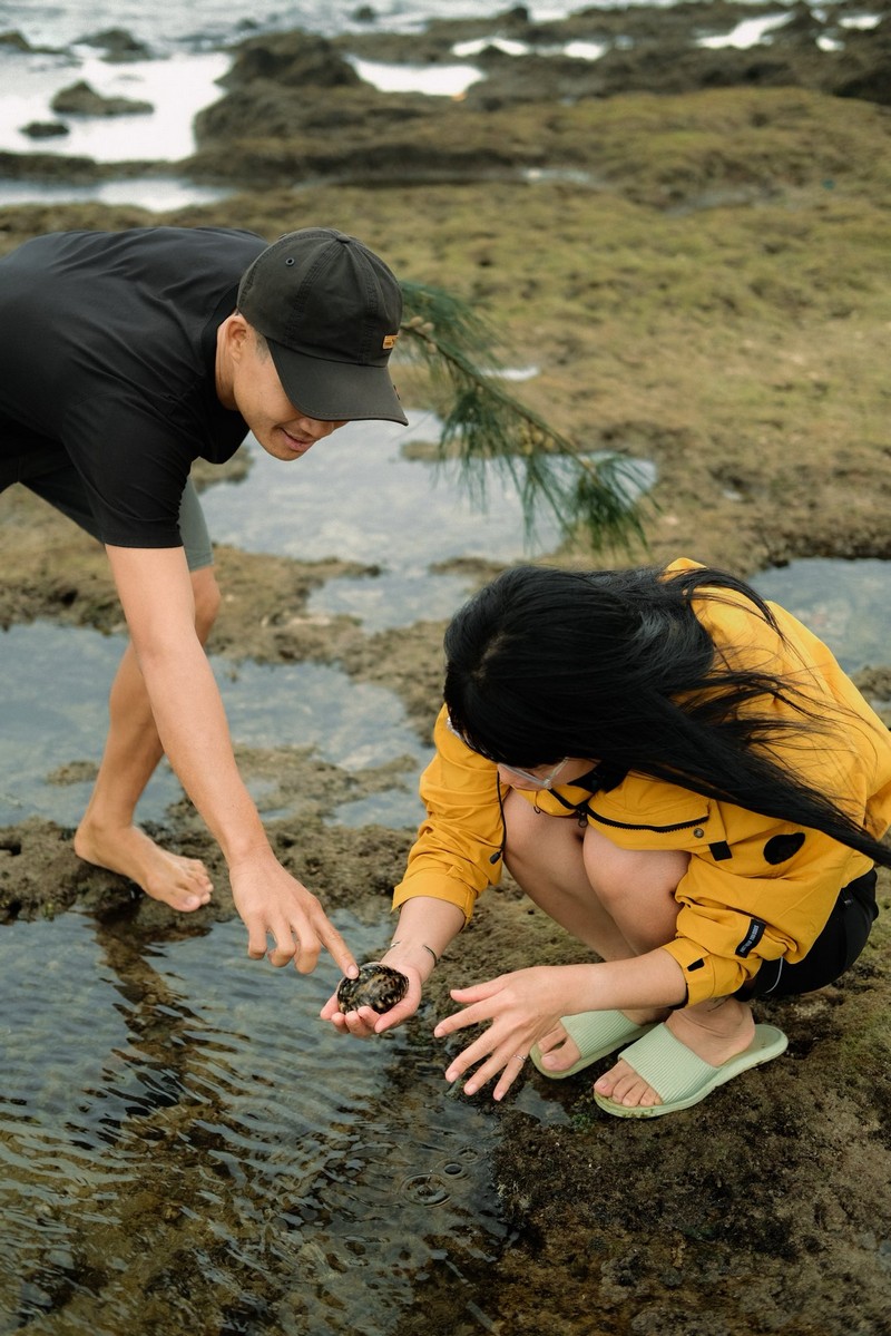 mùa rêu Hòn Đỏ