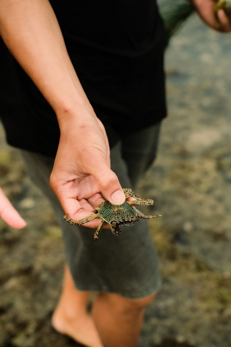 mùa rêu Hòn Đỏ