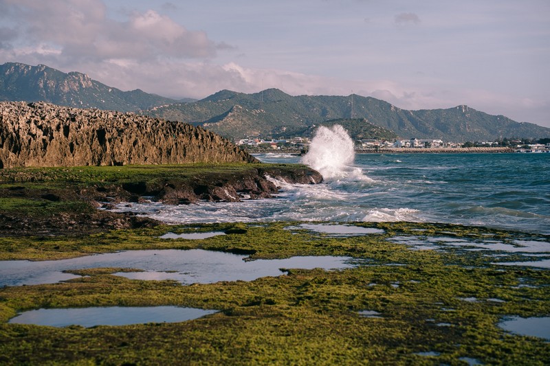 mùa rêu Hòn Đỏ