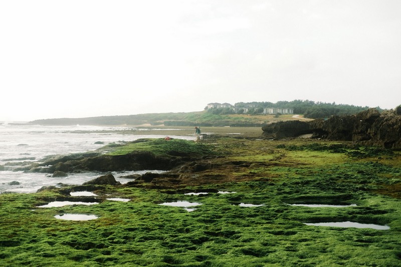 mùa rêu Hòn Đỏ