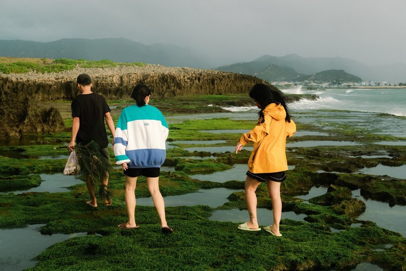 mùa rêu Hòn Đỏ