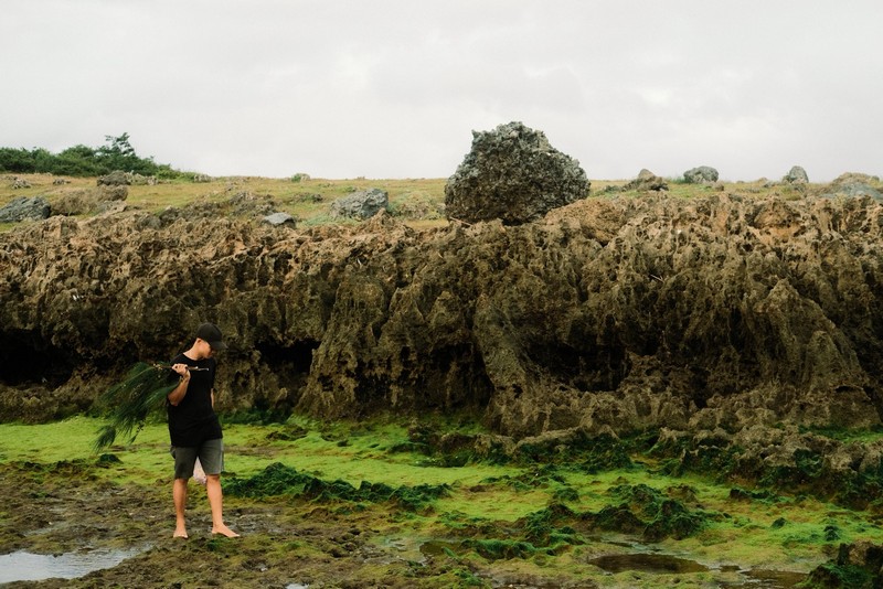 mùa rêu Hòn Đỏ